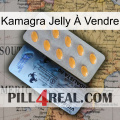 Kamagra Jelly À Vendre 44